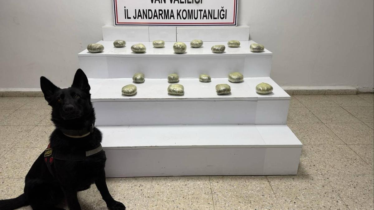 Vanda arazide 20 kilo 250 gram esrar ele geçirildi