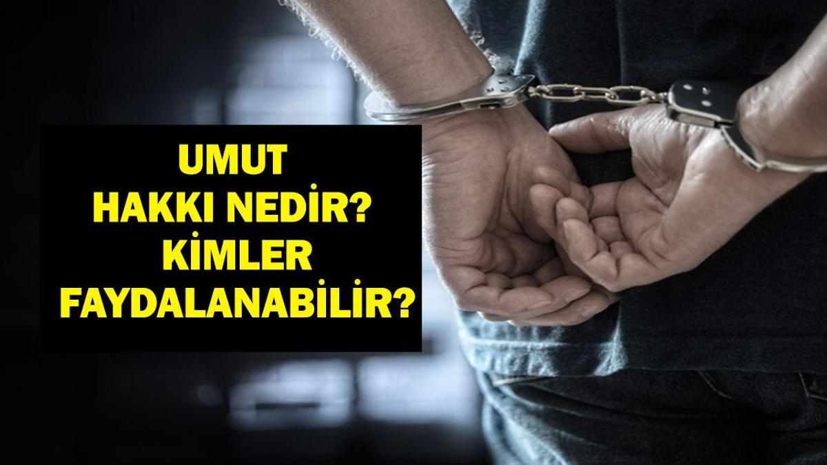 UMUT HAKKI NEDİR? Umut Hakkı Ne Anlama Geliyor? MHP Genel Başkan Yardımcısı Feti Yıldız'dan Umut Hakkı Açıklaması!