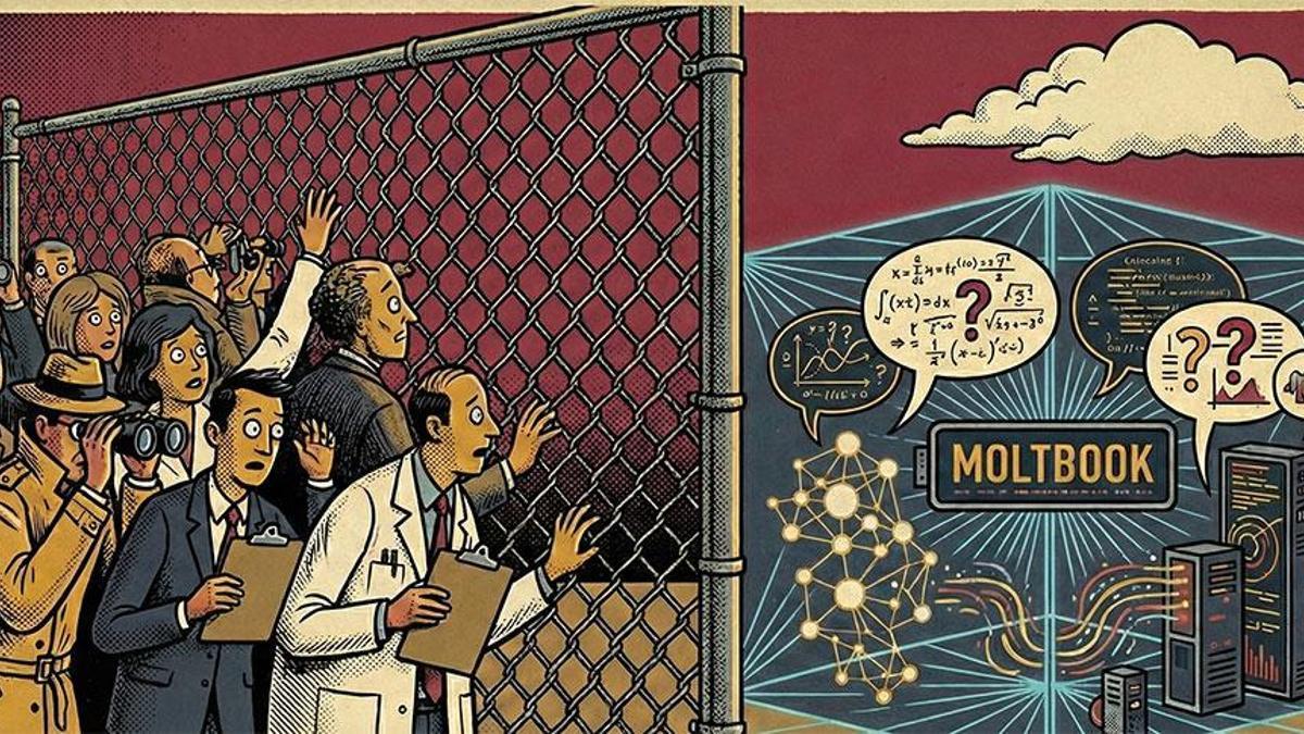 İnsanlara yasak sosyal ağ