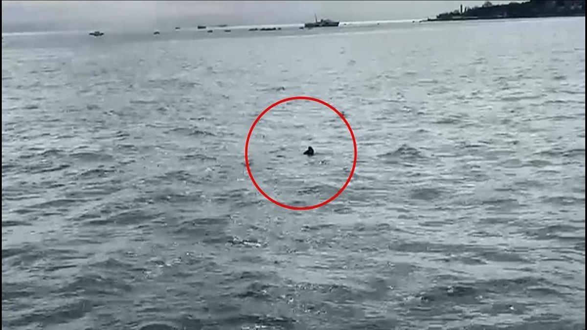 Vapurdan denize düştü! Eminönü–Üsküdar hattında can pazarı