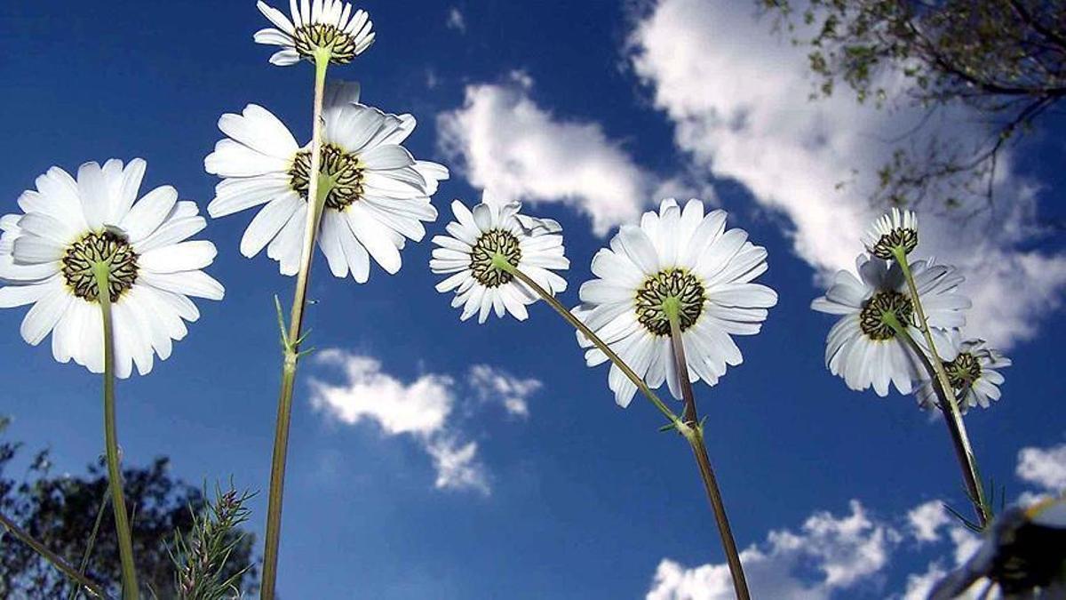 CEMRE DÜŞMESİ TARİHLERİ 2026: Havaya, toprağa ve suya ne zaman cemre düşecek? Cemre düşmesi nedir, ne anlama geliyor?