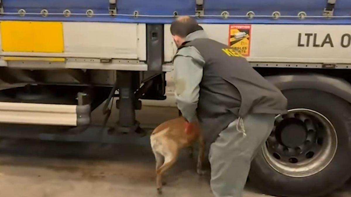 Edirne'de 240 kilogram uyuşturucu ele geçirildi