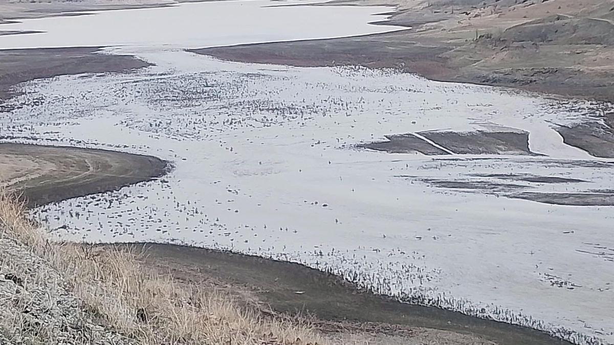 Selevir Barajı su tutmaya başladı