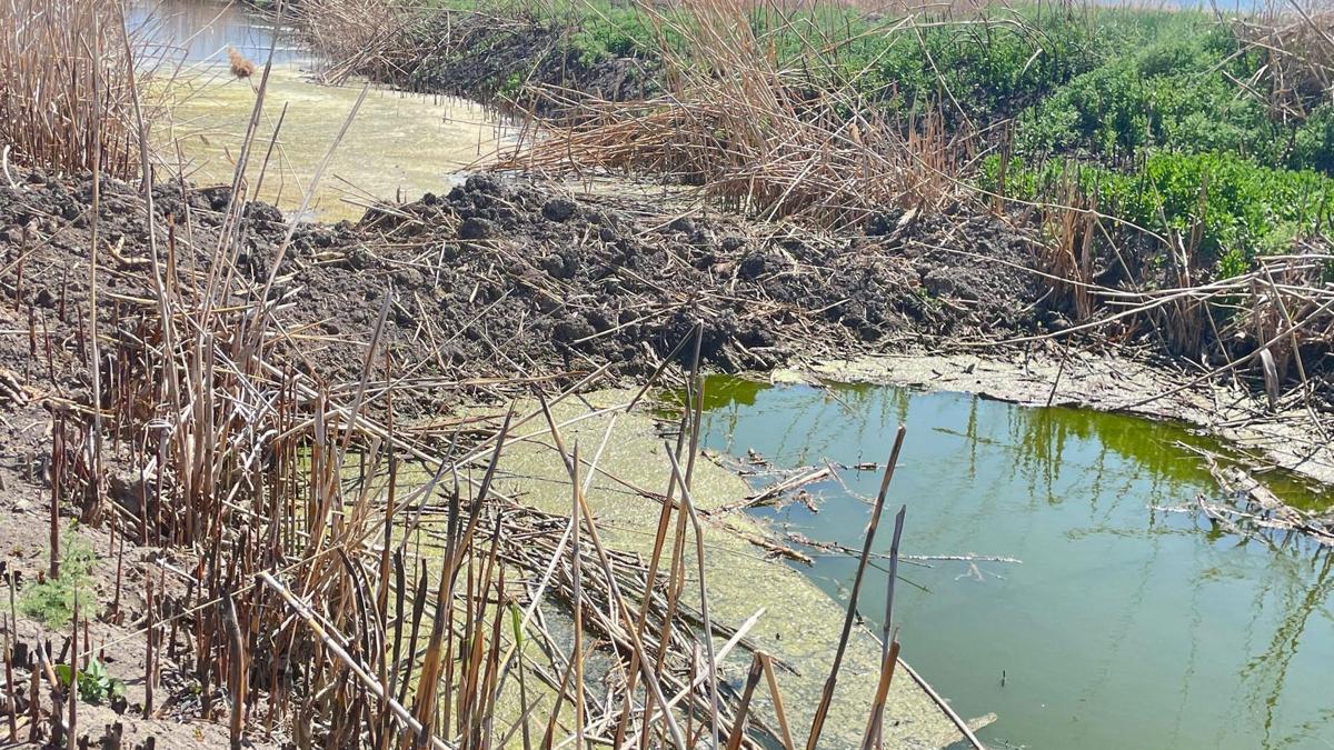 Kaçak bentler kaldırılıyor