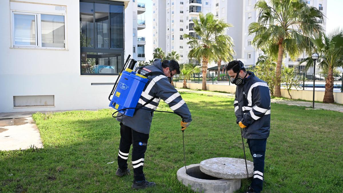 Büyükşehirden haşere ve vektörlere karşı kış mücadelesi