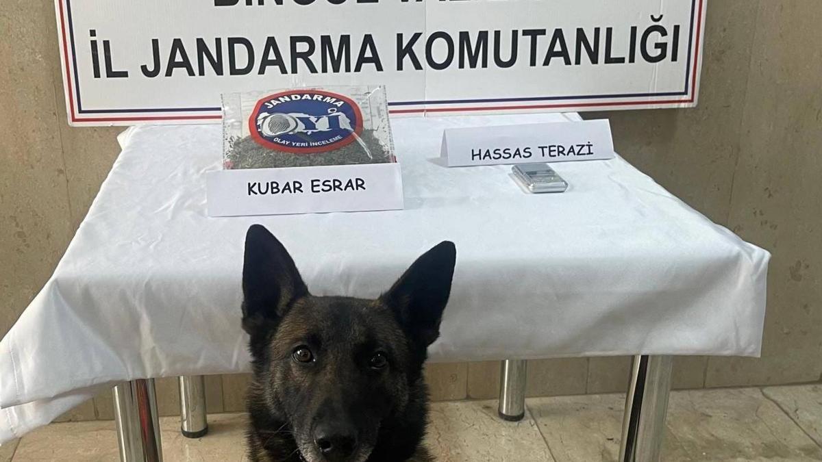Bingölde 8 firari hükümlü yakalandı