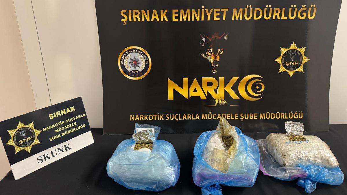 Şırnakta 1 kilo 431 gram skunk ele geçirildi