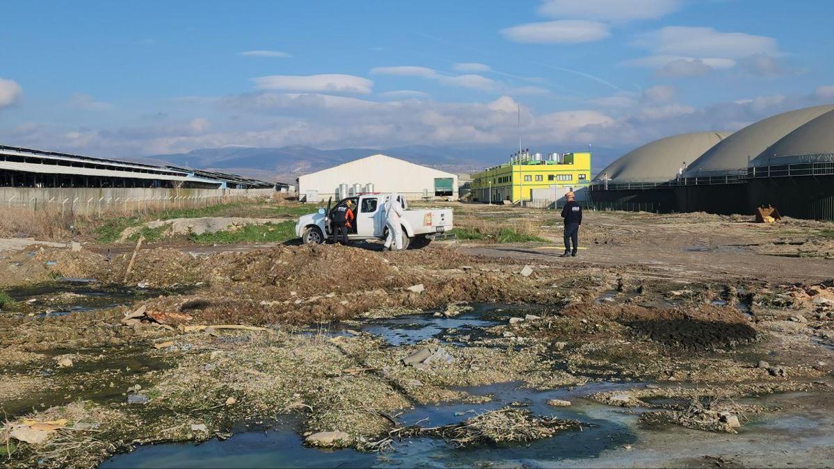 SON DAKİKA | Amasya'da biyogaz tesisinde metan gazı faciası! 3 işçi hayatını kaybetti