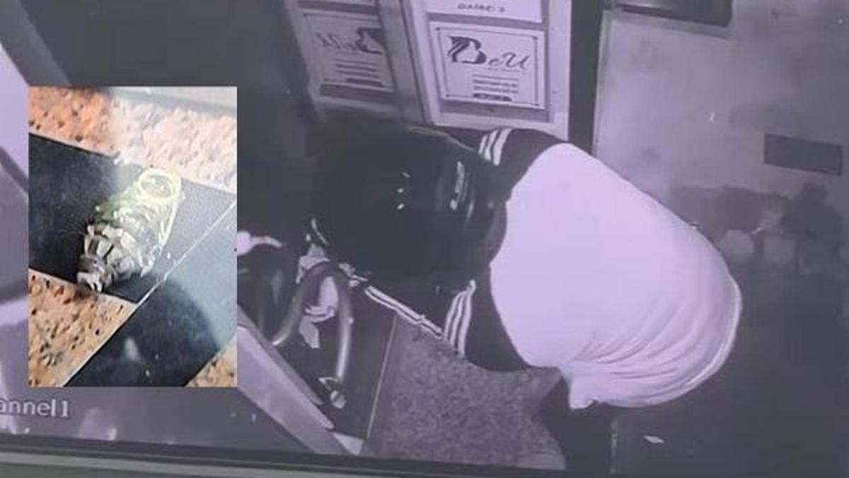 İstanbul'da iş merkezinin kapısına el bombası koydular! O anlar kamerada...