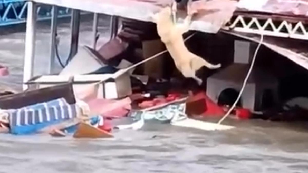 Antalya'da kuvvetli yağış 6 ilçede hasara neden oldu, mahsur kalan hayvanlar kurtarıldı