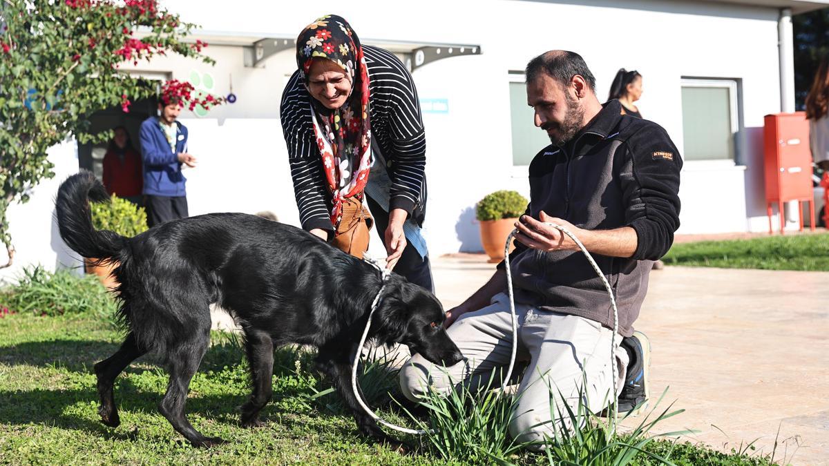 Can dostlar yeni yuvalara sahiplendiriliyor