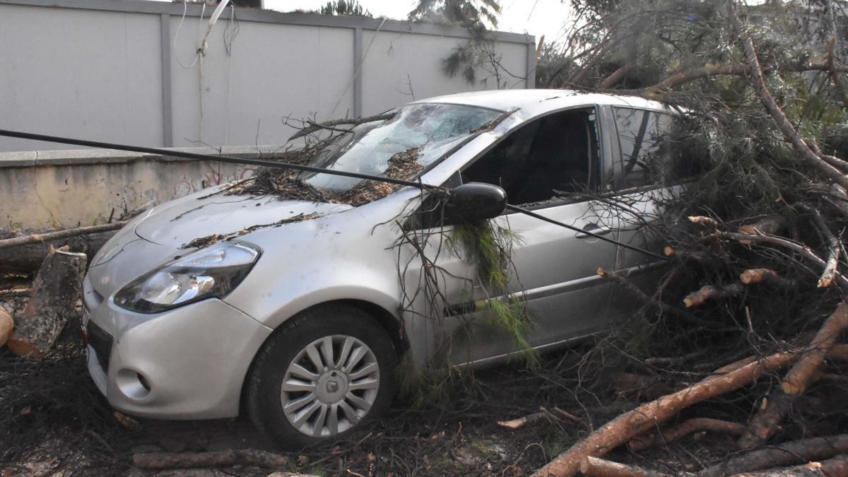 İzmirde kuvvetli rüzgarda park halindeki otomobilin üzerine ağaç devirdi