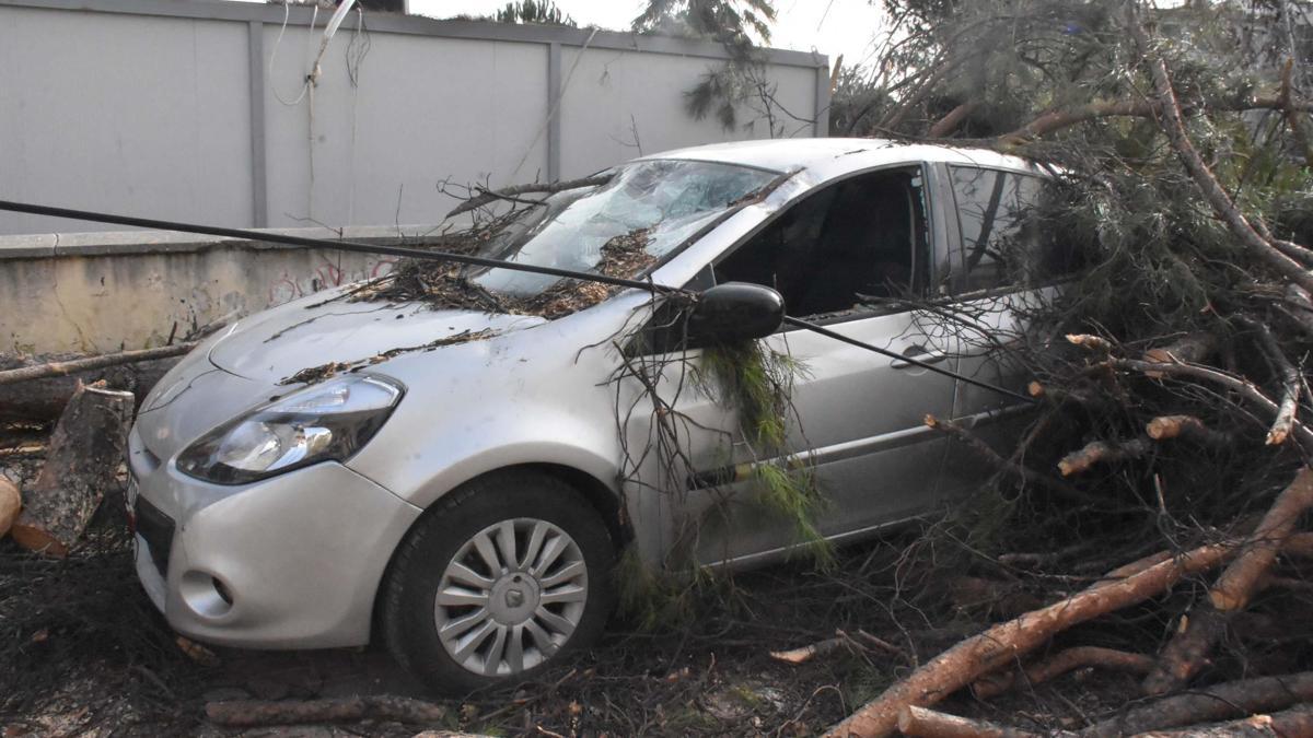 İzmirde kuvvetli rüzgar: Park halindeki otomobilin üzerine ağaç devirdi