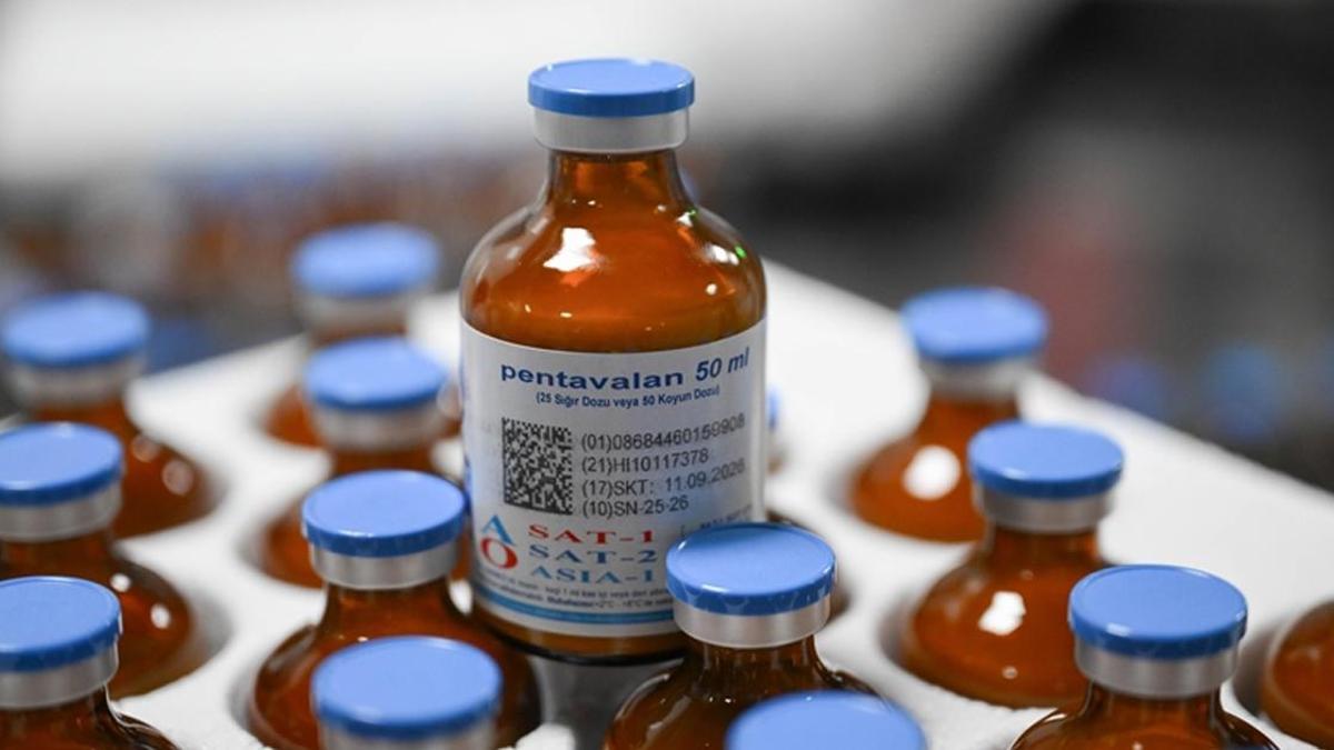 Güney Afrika'da ulusal afet hali ilan edildi