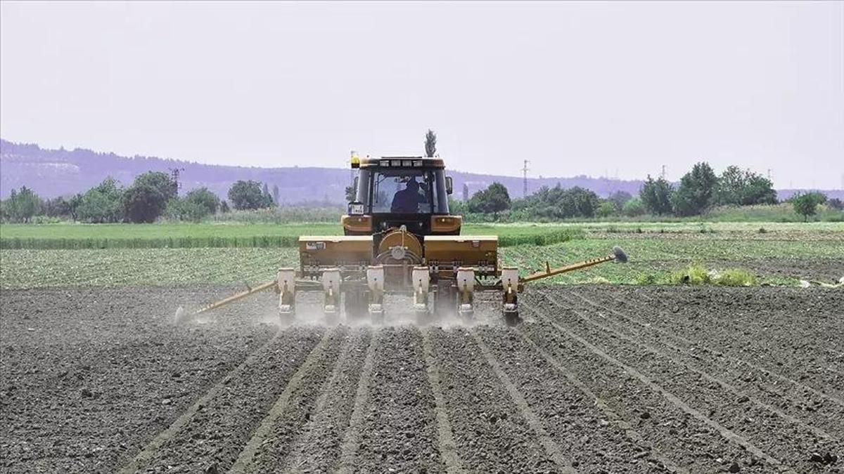 MAZOT VE GÜBRE DESTEĞİ YATTI MI SORGULAMA: Temel Destek ödemesi, mazot ve gübre desteği ödemesi ne zaman yapılacak?