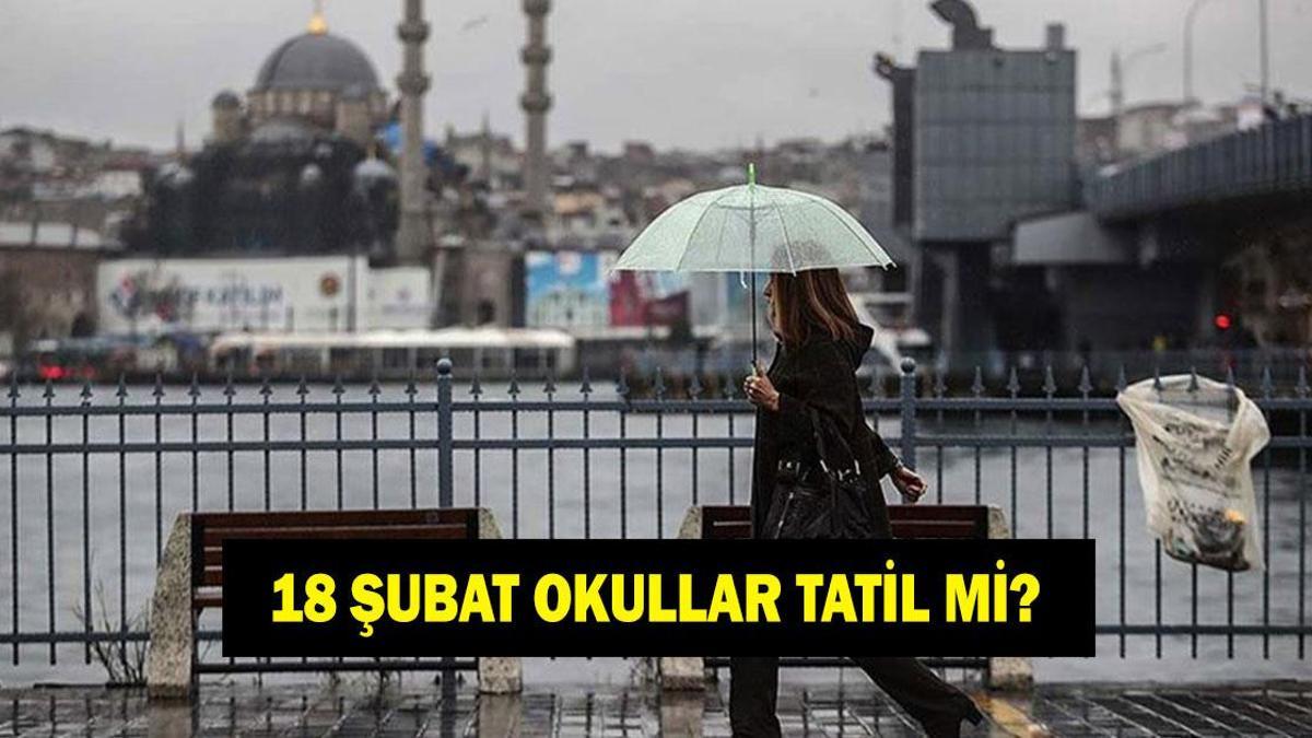 18 ŞUBAT OKULLAR TATİL Mİ 2026: Yarın okullar var mı yok mu? Valilik açıklaması geldi mi? Yarın hangi illerde okullar tatil?
