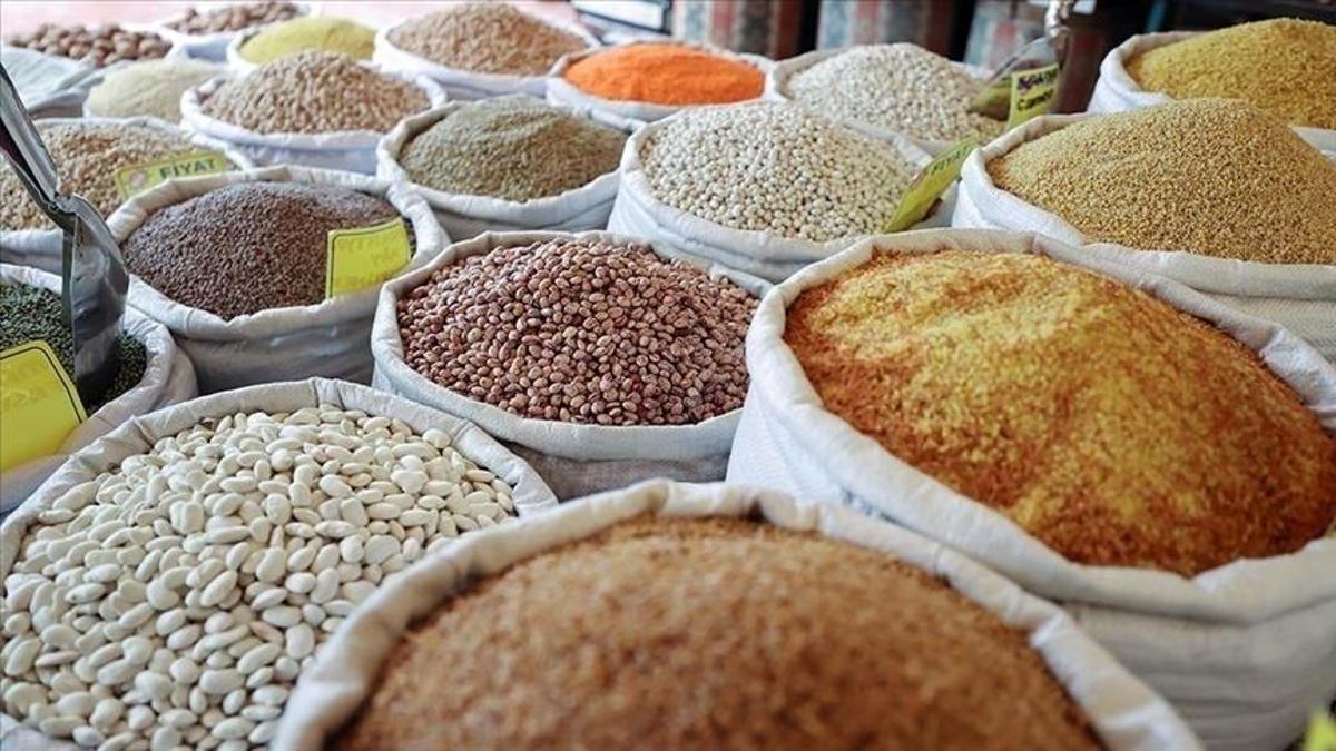 Güneydoğudan ihracat atağı! Ocakta 280 milyon dolara yaklaştı