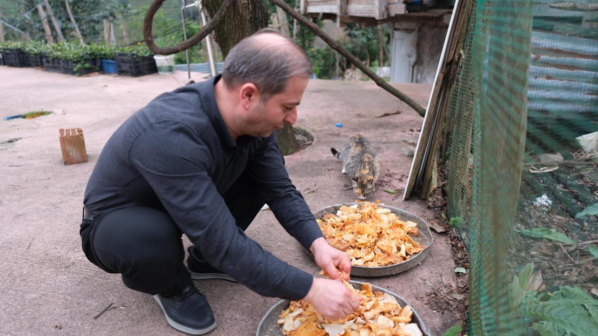 Babadan kalan 'anlamlı miras'; lokantada artan yiyecekleri sokak kedilerine götürüyor