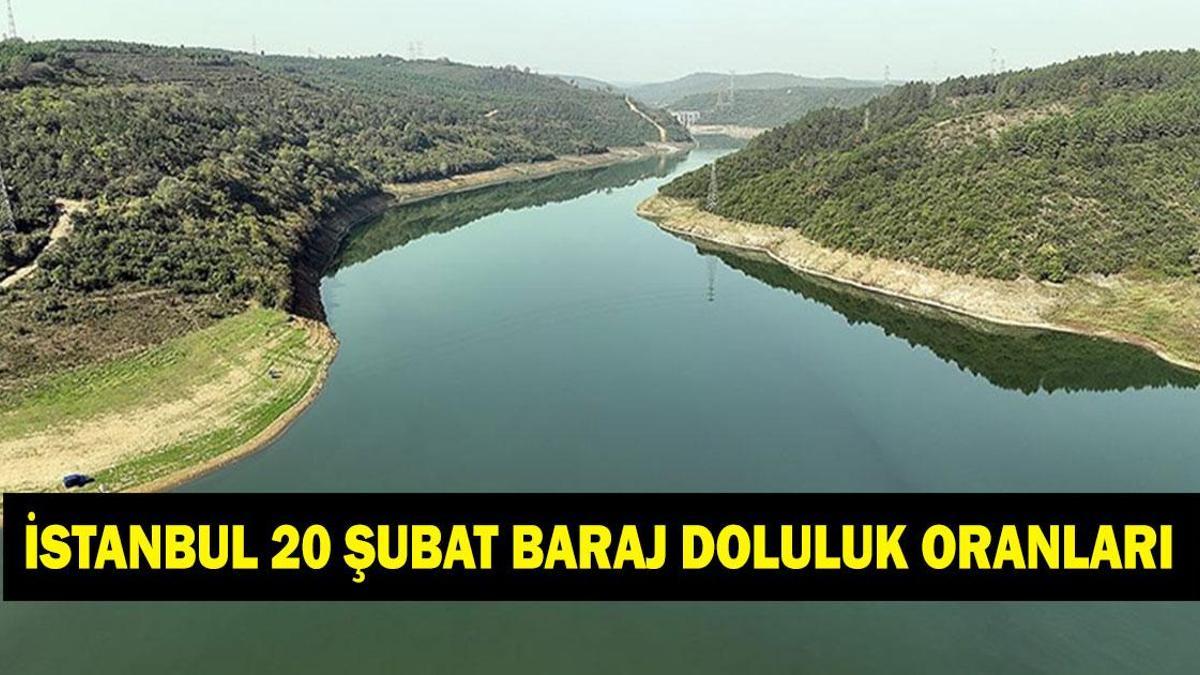 İSKİ İSTANBUL BARAJ DOLULUK ORANLARI: 20 Şubat İSKİ İstanbul barajları doluluk oranları listesi