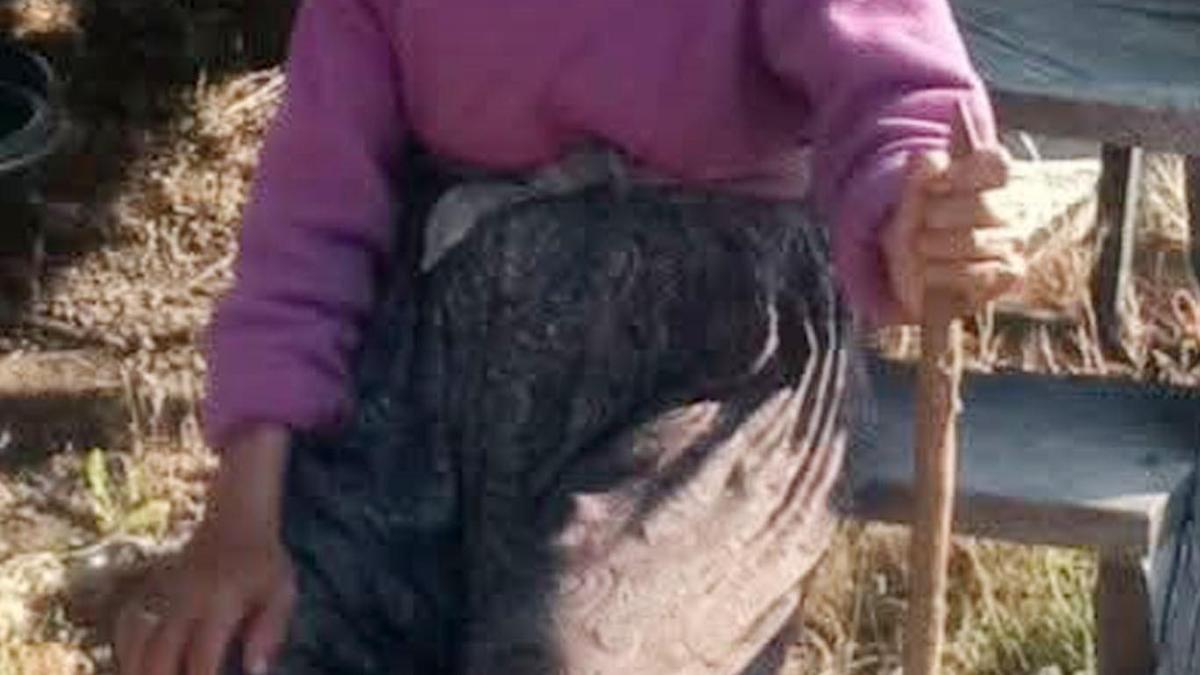 Hayvanlarını otlatmaya gidip kayboldu