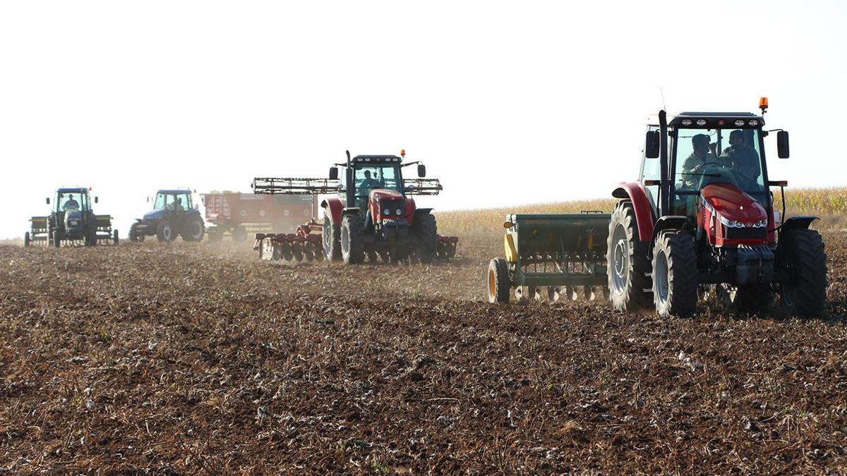 Mardin'de kar ve yağmur, çiftçiyi sevindirdi; bereket yılı bekleniyor