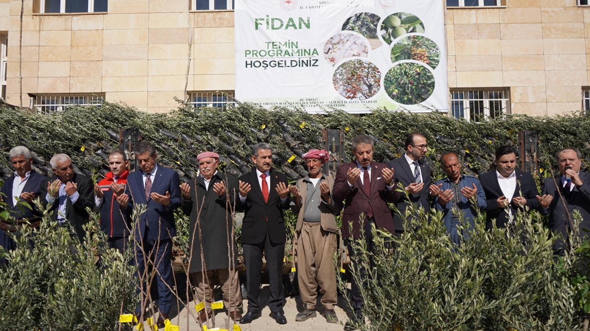 Şırnakta 110 çiftçiye yüzde 75 hibe destekli 25 bin 200 fidan dağıtıldı