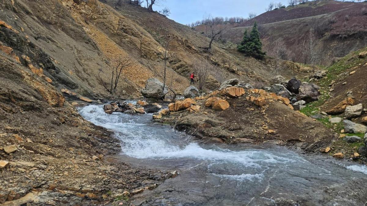 Diyarbakır, Kulpta kayıp Salih Ertaş için arama çalışmaları sürüyor