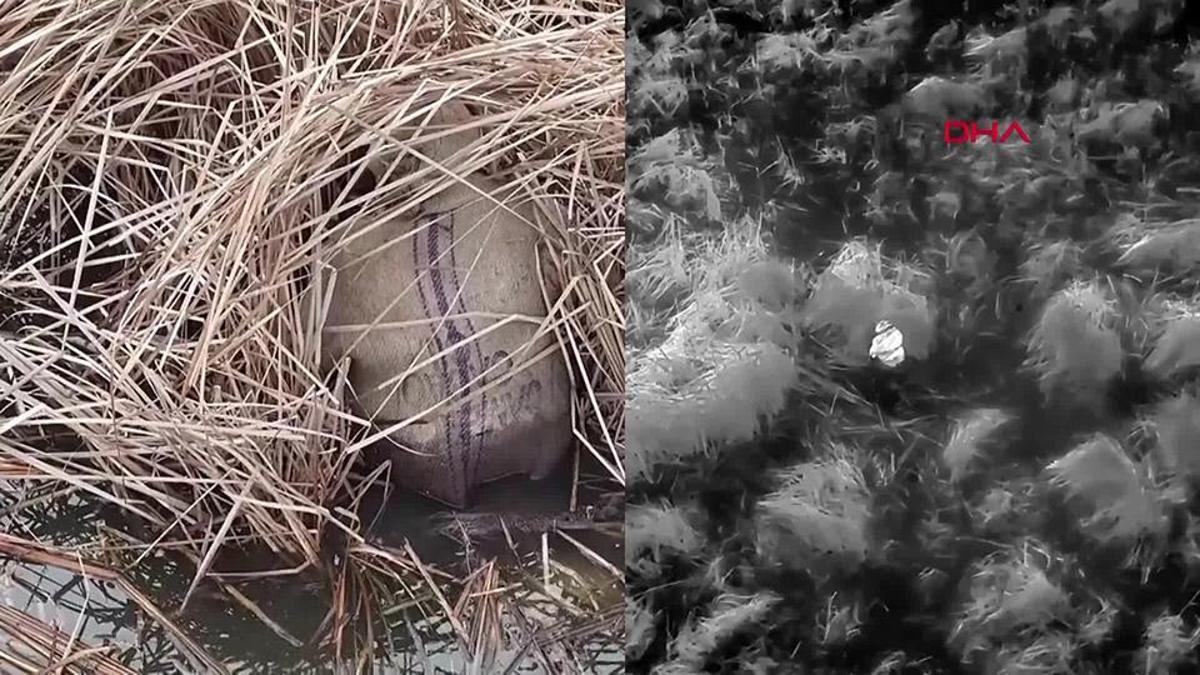 Yer: Samsun.... Termal drone yakaladı: 13 kişiye idari işlem!