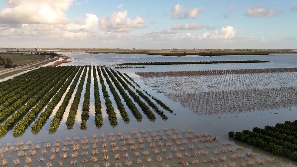Tarsusta sular altında kalan tarım arazileri havadan görüntülendi
