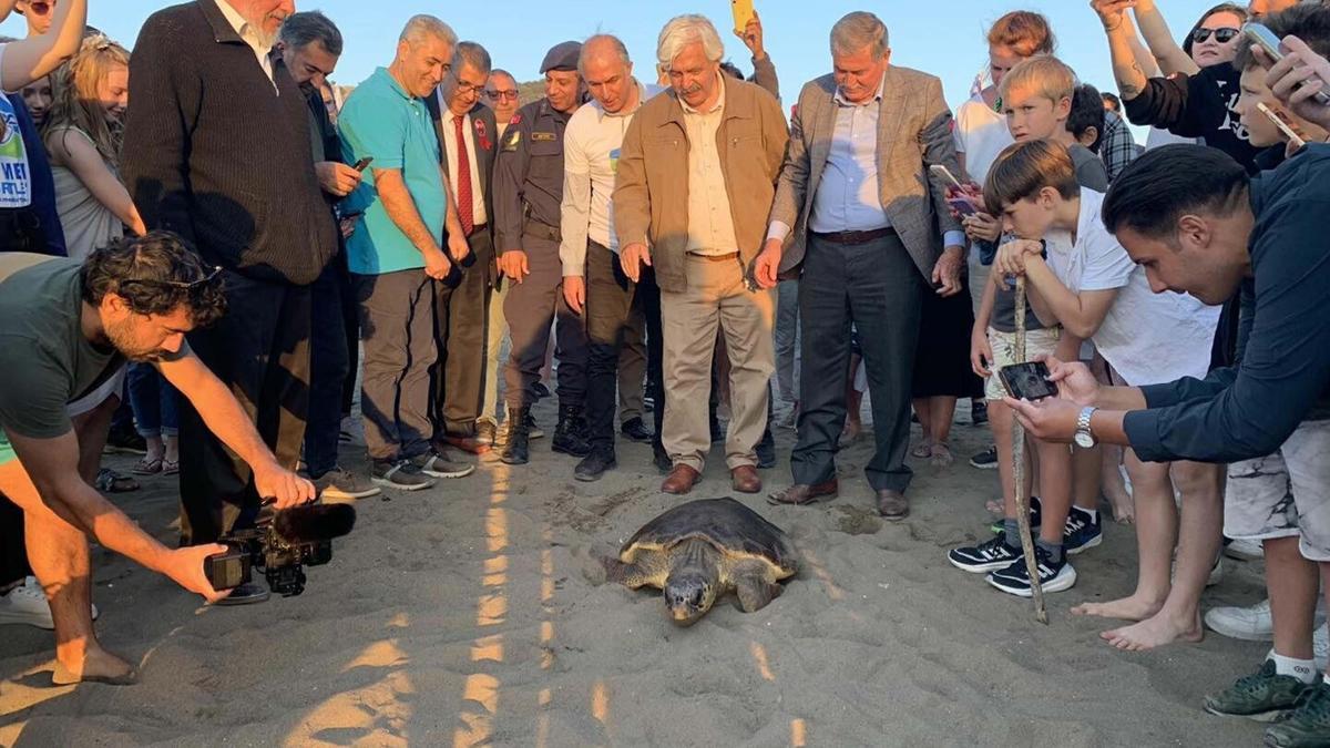 Caretta caretta 'Cumhuriyet'i 10 bin kişi izledi