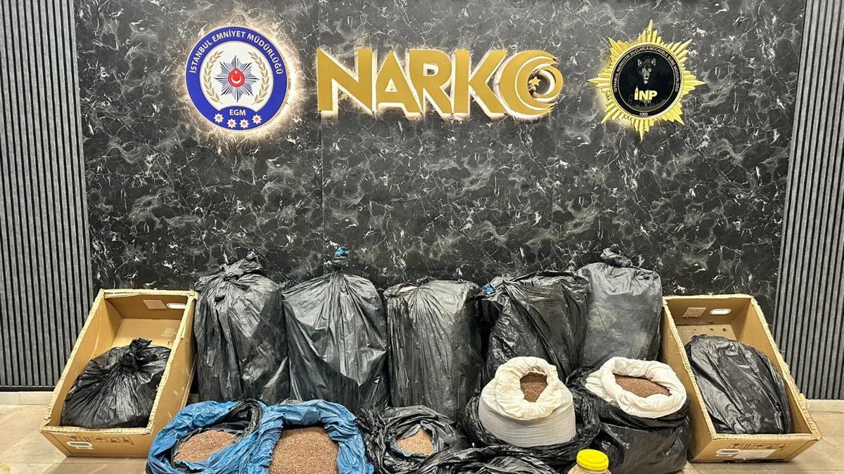 İstanbul- İstanbulda kahveye emdirilmiş 374 kilo 600 gram uyuşturucu ele geçirildi