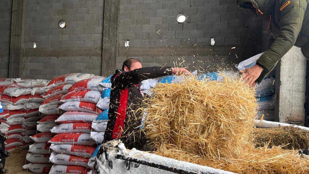 TIR'larda mahsur kalan 200 büyükbaşa yem desteği
