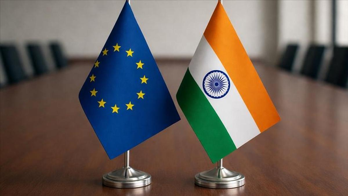 AB-Hindistan ticaret anlaşması Türkiye'yi nasıl etkiler? SETA analiz etti