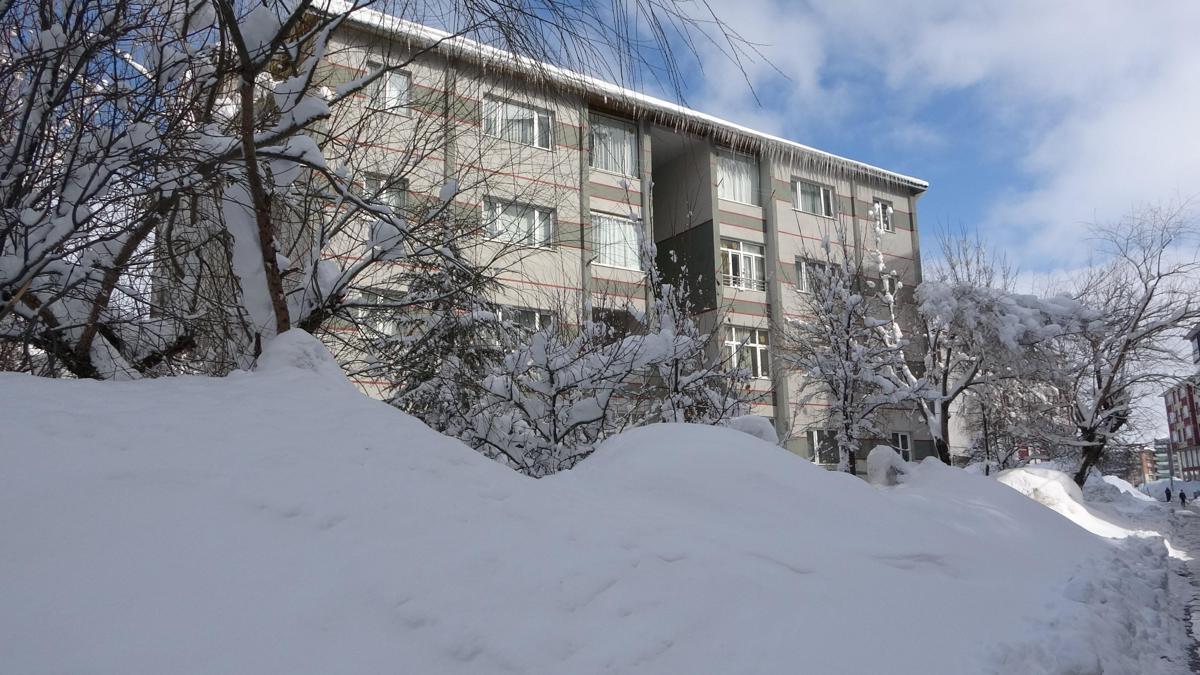 Bitliste kardan kapanan 254 köy yolu ulaşıma açıldı