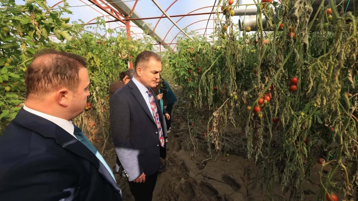 Vali Akbıyık'tan afetten zarar gören alanlarda inceleme