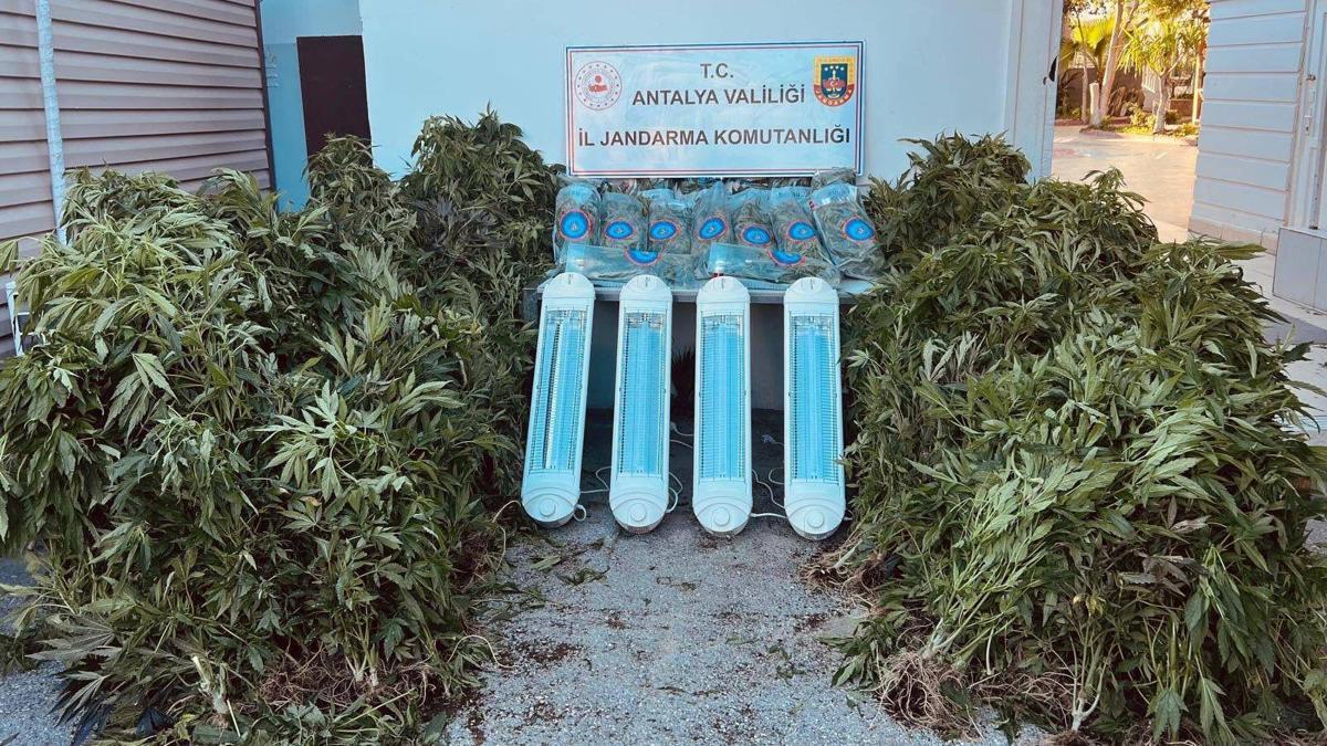 Aksuda uyuşturucu operasyonu