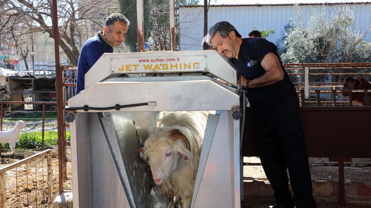 Verim artıyor, hastalık riski azalıyor