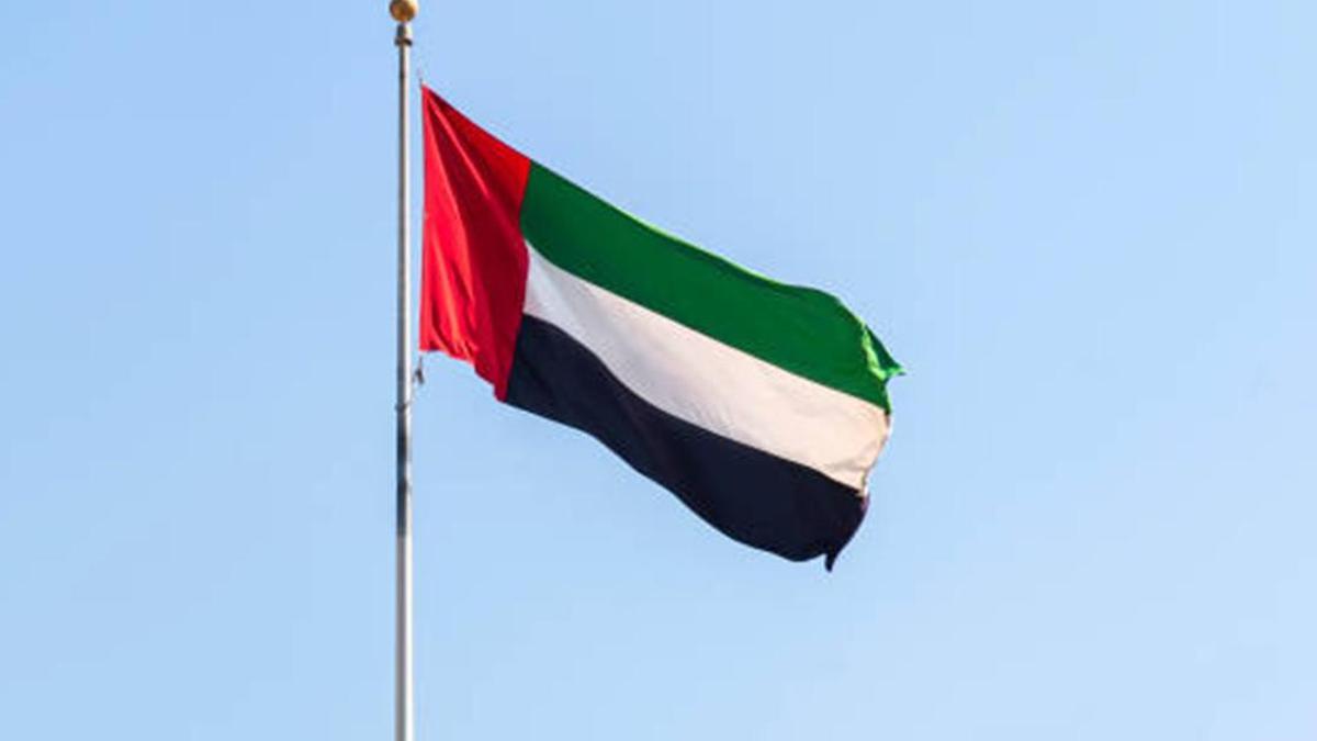 BAE: 11 balistik füze ve 123 İHA engellendi