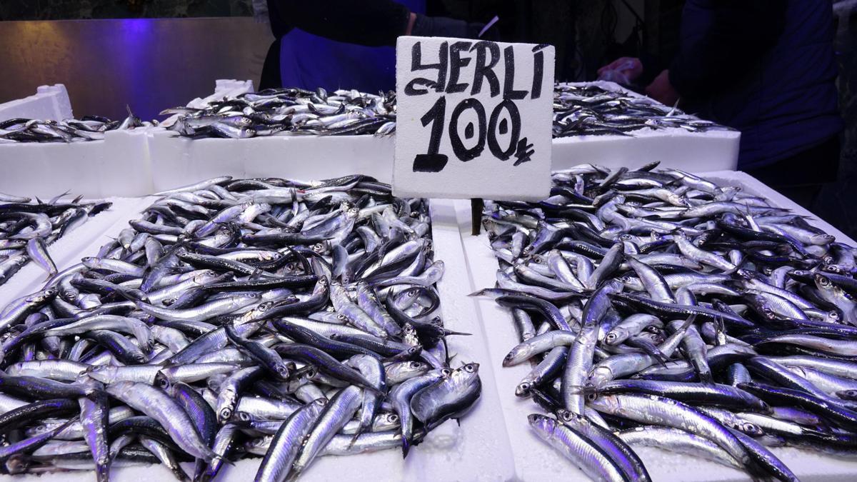Ramazanda balık tezgahlarında hamsi ve istavrit bereketi