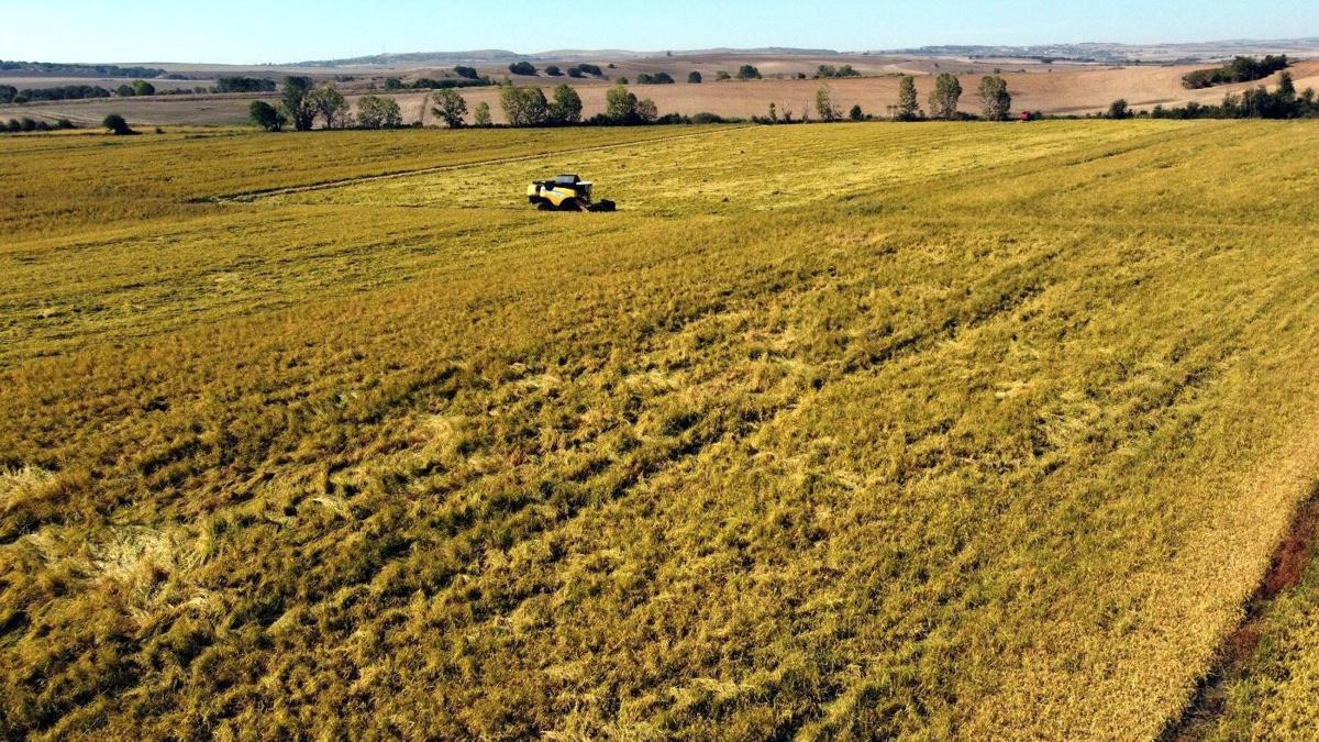 Edirnede çeltik ekim müracaatları başladı