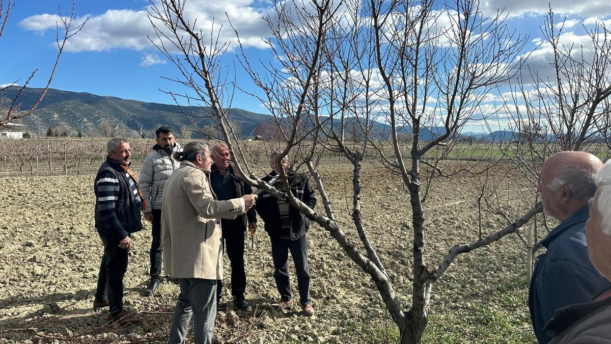 Üreticilere budama eğitimi