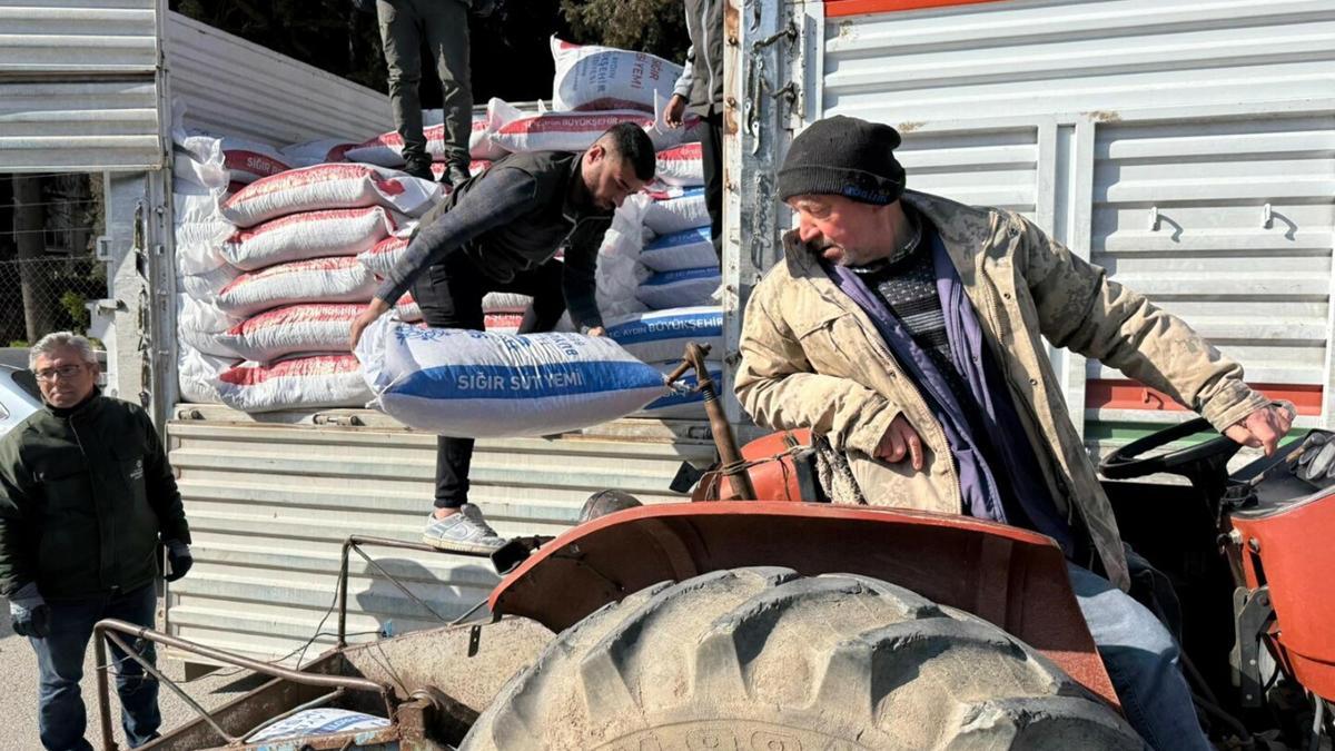 Sultanhisar'da üreticilere yem desteği