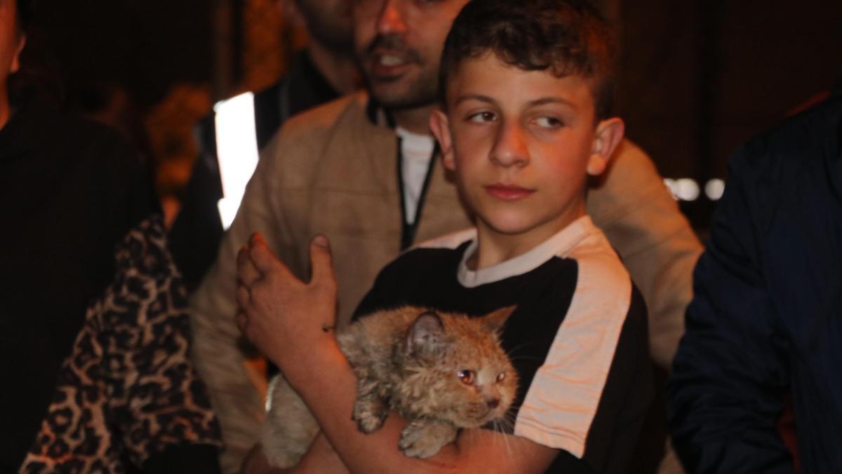 Yangında dairede mahsur kalan kedi 'Duman'ı itfaiye kurtardı