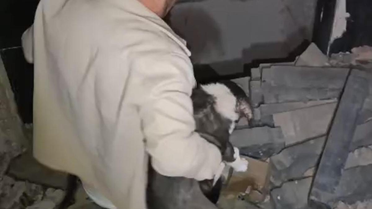 Ağır hasarlı binada mahsur kalan yavru köpekler kurtarıldı