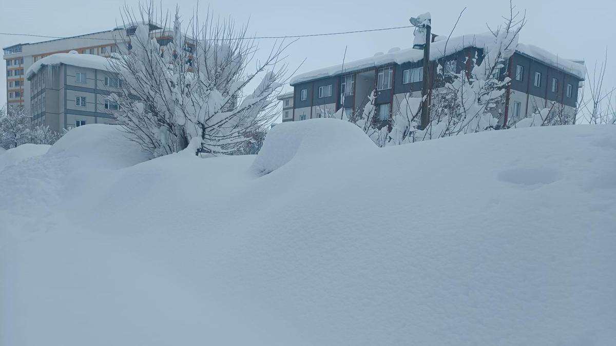 Bitlis'te kar durdu, temizlik çalışması başladı