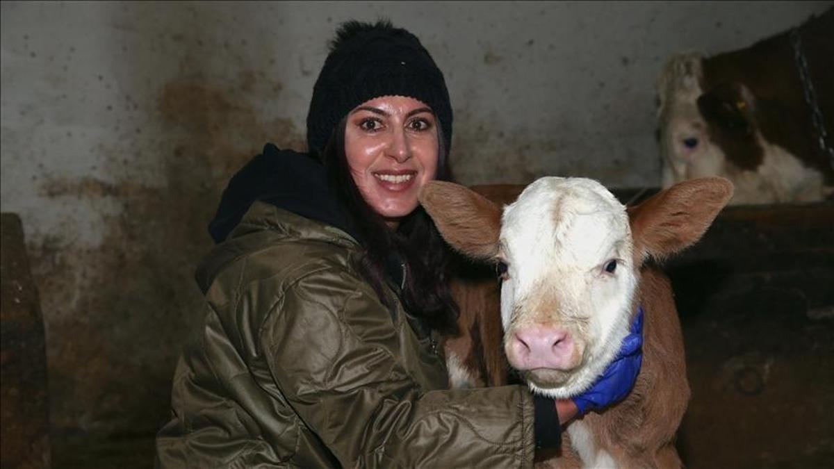 Devlet desteğiyle başladı, 3 yılda 200 başlık sürüye ulaştı