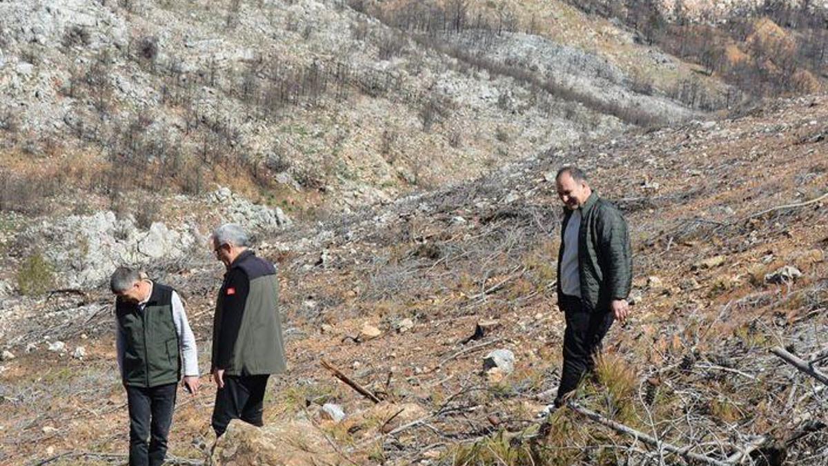 Yanan sahalarda ilk çimlenmeler görüldü