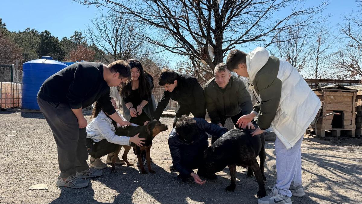 İşitme engelli öğrencilerden, engelli köpekler için kampanya