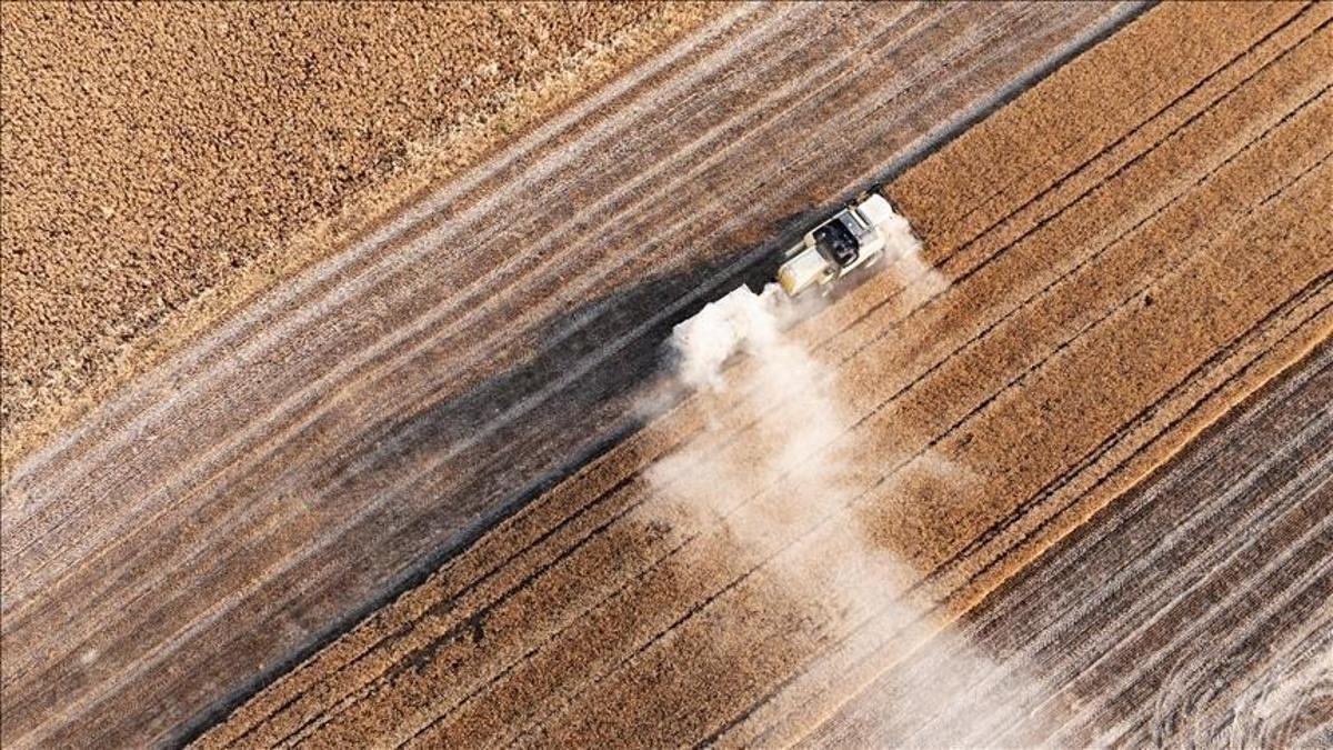 Türkiyede yağışlar yükseldi: Tarım sezonunda yüzde 38 artış