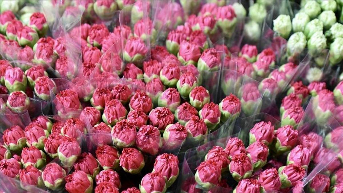 İngilterede Anneler Günü için Türk çiçekleri yola çıktı